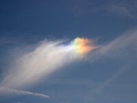 NL, Noord-Holland, Texel, Parhelion in bargeboard, Hemmerkooi 15, Saxifraga-Foto Fitis-Sytske Dijksen