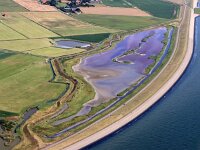 NL, Noord-Holland, Texel, Pink coloured by Dunaliella salina and Oxyrhis marina, Wagejot 12, Saxifraga-Foto Fitis-Sytske Dijksen