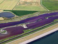 NL, Noord-Holland, Texel, Pink coloured by Dunaliella salina and Oxyrhis marina, Wagejot 14, Saxifraga-Foto Fitis-Sytske Dijksen