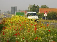 NL, Noord-Holland, Texel, Pontwegkruising 1, Saxifraga-Foto Fitis-Sytske Dijksen