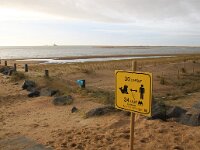 NL, Noord-Holland, Texel, Prins Hendrik Zanddijk 1, Saxifraga-Foto Fitis-Sytske Dijksen