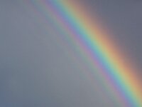 NL, Noord-Holland, Texel, Rainbow, De Hors 196, Saxifraga-Foto Fitis-Sytske Dijksen