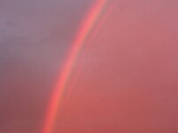 NL, Noord-Holland, Texel, Rainbow, Ruige Hoek 4, Saxifraga-Foto Fitis-Sytske Dijksen