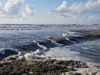NL, Noord-Holland, Texel, Rising tide, Paal 6 3, Saxifraga-Foto Fitis-Sytske Dijksen