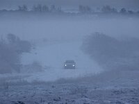 NL, Noord-Holland, Texel, Rommelpot 8, Saxifraga-Foto Fitis-Sytske Dijksen
