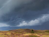NL, Noord-Holland, Texel, Shelf cloud, Bollekamer 58, Saxifraga-Foto Fitis-Sytske Dijksen