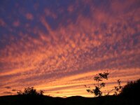 NL, Noord-Holland, Texel, Sunset, Bollekamer 63, Saxifraga-Foto Fitis-Sytske Dijksen