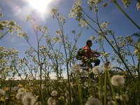 NL, Noord-Holland, Texel, Watermolenweg 4, Saxifraga-Foto Fitis-Sytske Dijksen
