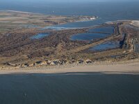 NL, Noord-Holland, Texel, Zuidpunt 6, Saxifraga-Foto Fitis-Sytske Dijksen