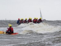 NL, Noord-Holland, Texel, paal 10 1, Saxifraga-Foto Fitis-Sytske Dijksen