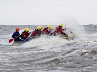 NL, Noord-Holland, Texel, paal 10 2, Saxifraga-Foto Fitis-Sytske Dijksen