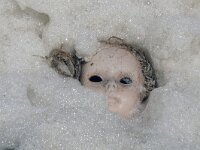 NL, Noord-Holland, Texel, paal 12 11, Saxifraga-Foto Fitis-Sytske Dijksen