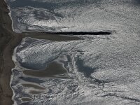 NL, Noord-Holland, Texel, paal 14 1 Saxifraga-Foto Fitis-Sytske Dijksen