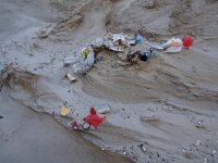 NL, Noord-Holland, Texel, paal 16 7, Saxifraga-Foto Fitis-Sytske Dijksen