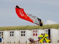 NL, Noord-Holland, Texel, paal 17 3, Saxifraga-Foto Fitis-Sytske Dijksen