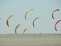 NL, Noord-Holland, Texel, paal 30 2, Saxifraga-Foto Fitis-Sytske Dijksen