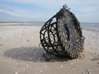 NL, Noord-Holland, Texel, paal 6 1, Saxifraga-Foto Fitis-Sytske Dijksen