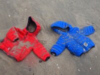 NL, Noord-Holland, Texel, paal 8 14, Saxifraga-Foto Fitis-Sytske Dijksen