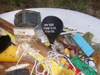 NL, Noord-Holland, Texel, paal 8 15, Saxifraga-Foto Fitis-Sytske Dijksen