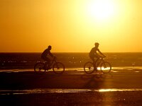 NL, Noord-Holland, Texel, paal 9 33, Saxifraga-Foto Fitis-Sytske Dijksen