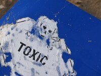 NL, Noord-Holland, Texel, poison, paal 8 7, Saxifraga-Foto Fitis-Sytske Dijksen