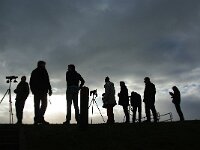NL, Noord-Holland, Texel, whale watchers 1, Saxifraga-Foto Fitis-Sytske Dijksen