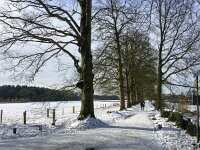 NL, Noord-Holland, Wijdemeren, 's-Graveland 3, Saxifraga-Bart Vastenhouw