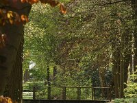 NL, Noord-Holland, Wijdemeren, Sijpestijn 2, Saxifraga-Foto Fitis-Sytske Dijksen