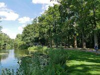 NL, Noord-Holland, Wijdemeren, s-Graveland 3, Saxifraga-Tom Heijnen
