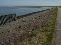 NL, Zeeland, Noord-Beveland, Oostnol 1, Saxifraga-Jan van der Straaten