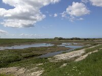 NL, Zeeland, Schouwen-Duiveland, Westenschouwen 52, Saxifraga-Roel Meijer  Burgh-Haamstede, Zeeland, Netherlands. : wetland, salt marsh, inlage, nature, Burgh-Haamstede, Zeeland, Netherlands, Dutch, Westenschouwense Inlaag
