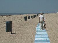 NL, Zeeland, Veere, Valkenisse, Dishoek 2, Saxifraga-Jan van der Straaten