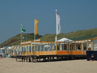 NL, Zeeland, Veere, Valkenisse, Dishoek 3, Saxifraga-Jan van der Straaten