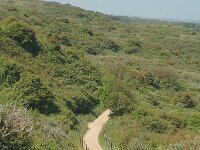 NL, Zeeland, Veere, Valkenisse, Dishoek 8, Saxifraga-Jan van der Straaten