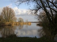 Dutch river Nieuwe Merwede, Biesbosch National Park, Netherlands  Biesbosch National Park, Netherlands : Biesbosch, National Park, river, stream, riverscape, rural landscape, Nieuwe Merwede, wetland