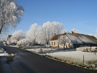 NL, Zuid-Holland, Molenwaard, Graafstroom, Molenaarsgraaf 1, Saxifraga-Jan C van der Straaten
