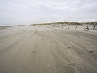 NL, Zuid-Holland, Westland, Monster, Strand 1, Saxifraga-Bart Vastenhouw