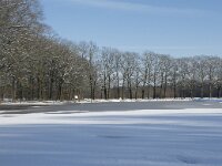 NL, Noord-Brabant, Alphen-Chaam, de Hoevens 60, Saxifraga-Willem van Kruijsbergen