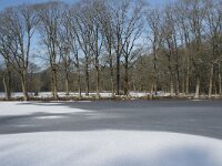 NL, Noord-Brabant, Alphen-Chaam, de Hoevens 63, Saxifraga-Willem van Kruijsbergen