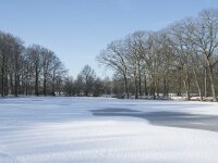 NL, Noord-Brabant, Alphen-Chaam, de Hoevens 65, Saxifraga-Willem van Kruijsbergen