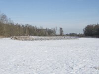 NL, Noord-Brabant, Alphen-Chaam, de Hoevens 72, Saxifraga-Willem van Kruijsbergen