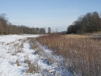 NL, Noord-Brabant, Alphen-Chaam, de Hoevens 73, Saxifraga-Willem van Kruijsbergen