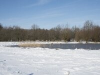 NL, Noord-Brabant, Alphen-Chaam, de Hoevens 79, Saxifraga-Willem van Kruijsbergen