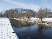 NL, Noord-Brabant, Alphen-Chaam, de Hoevens 84, Saxifraga-Willem van Kruijsbergen
