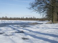 NL, Noord-Brabant, Alphen-Chaam, de Hoevens 88, Saxifraga-Willem van Kruijsbergen
