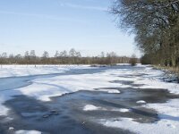 NL, Noord-Brabant, Alphen-Chaam, de Hoevens 89, Saxifraga-Willem van Kruijsbergen