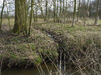 NL, Noord-Brabant, Baarle-Nassau, Halsche Beemden 95, Saxifraga-Willem van Kruijsbergen