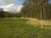 NL, Noord-Brabant, Baarle-Nassau, Kromme Hoek 86, Saxifraga-Jan van der Straaten