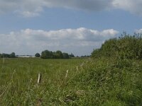 NL, Noord-Brabant, Hilvarenbeek, Spruitenstroompje 54, Saxifraga-Jan van der Straaten