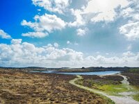 NL, Noord-Holland, Bergen, Schoorl 6, Saxifraga-Dirk Hilbers